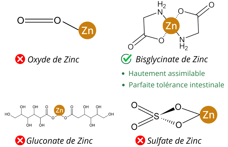 Les différentes formes de zinc
